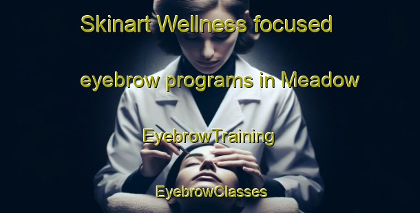 Skinart Wellness-focused eyebrow programs in Meadow | EyebrowTraining | EyebrowClasses | SkinartTraining-Canada