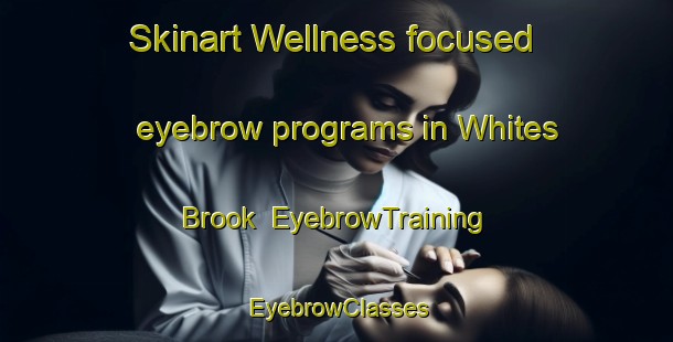 Skinart Wellness-focused eyebrow programs in Whites Brook | EyebrowTraining | EyebrowClasses | SkinartTraining-Canada