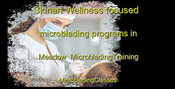 Skinart Wellness-focused microblading programs in Meadow | #MicrobladingTraining #MicrobladingClasses #SkinartTraining-Canada