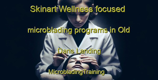 Skinart Wellness-focused microblading programs in Old Dans Landing | MicrobladingTraining | MicrobladingClasses | SkinartTraining-Canada