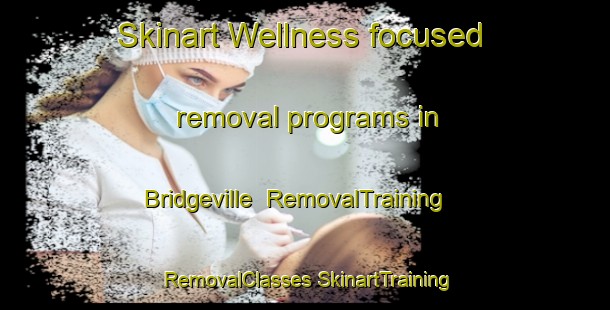 Skinart Wellness-focused removal programs in Bridgeville | #RemovalTraining #RemovalClasses #SkinartTraining-Canada