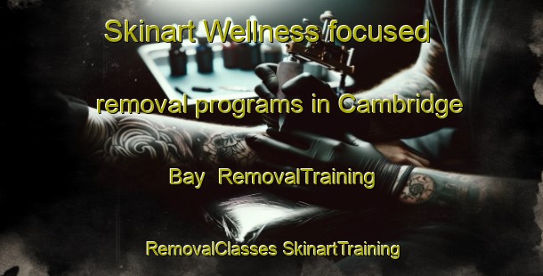 Skinart Wellness-focused removal programs in Cambridge Bay | #RemovalTraining #RemovalClasses #SkinartTraining-Canada