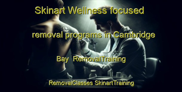 Skinart Wellness-focused removal programs in Cambridge Bay | #RemovalTraining #RemovalClasses #SkinartTraining-Canada