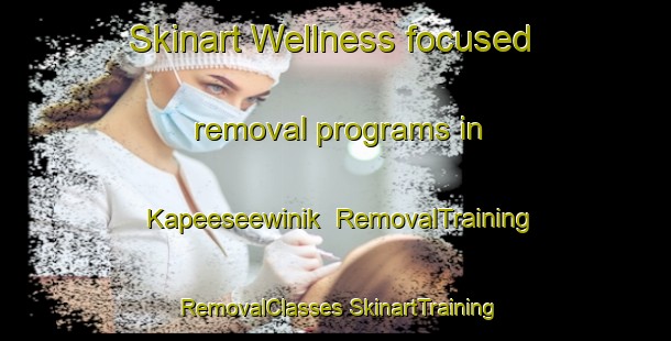 Skinart Wellness-focused removal programs in Kapeeseewinik | #RemovalTraining #RemovalClasses #SkinartTraining-Canada