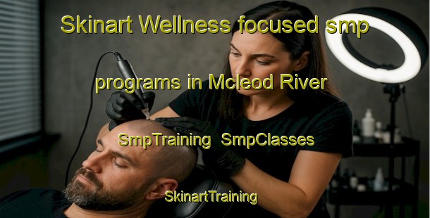 Skinart Wellness-focused smp programs in Mcleod River | SmpTraining | SmpClasses | SkinartTraining-Canada