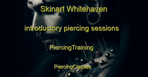 Skinart Whitehaven introductory piercing sessions | PiercingTraining | PiercingClasses | SkinartTraining-Canada