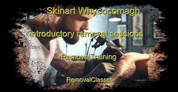Skinart Whycocomagh introductory removal sessions | RemovalTraining | RemovalClasses | SkinartTraining-Canada