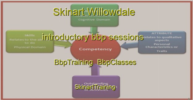 Skinart Willowdale introductory bbp sessions | BbpTraining | BbpClasses | SkinartTraining-Canada