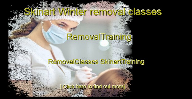 Skinart Winter removal classes | #RemovalTraining #RemovalClasses #SkinartTraining-Canada