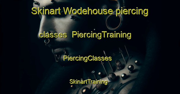 Skinart Wodehouse piercing classes | PiercingTraining | PiercingClasses | SkinartTraining-Canada