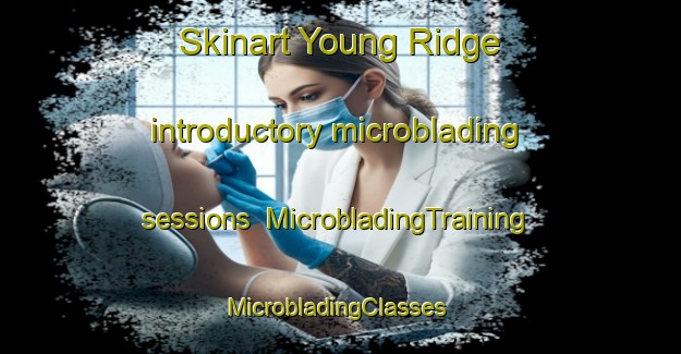 Skinart Young Ridge introductory microblading sessions | MicrobladingTraining | MicrobladingClasses | SkinartTraining-Canada
