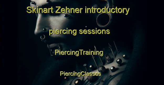 Skinart Zehner introductory piercing sessions | PiercingTraining | PiercingClasses | SkinartTraining-Canada
